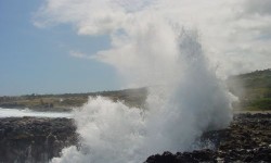 Réunion