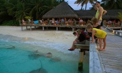 Kuramathi Island Resort