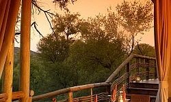 Madikwe Safari