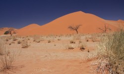 Namibie