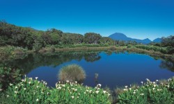 Réunion
