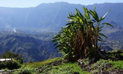 Réunion