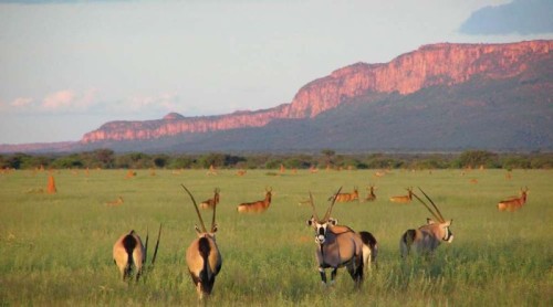 Sebatana Rhino Lodge