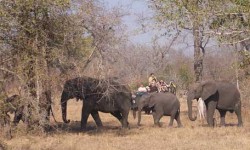 Umkumbe Safari Lodge