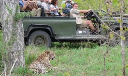 Umkumbe Safari Lodge