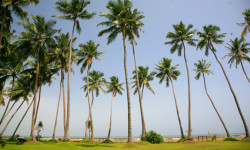 Serene Pavilions