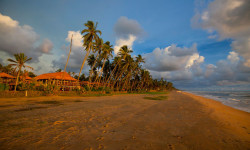 Serene Pavilions