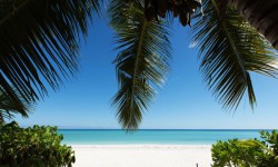 Acajou Beach Resort