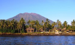 Relax Dive Bali