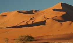 Rovos Rail - Namibia Safari