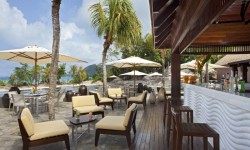 Raffles Praslin