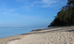 Plage de la Saline