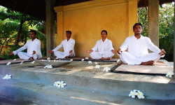 Jetwing Ayurveda Pavilions