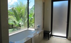 Raffles Praslin