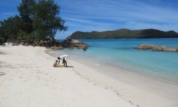 Raffles Praslin