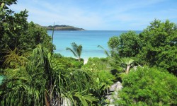 Raffles Praslin