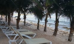 El Dorado Seaside Suites