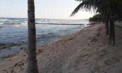 El Dorado Seaside Suites