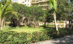 El Dorado Seaside Suites