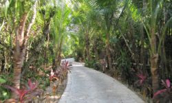 El Dorado Seaside Suites