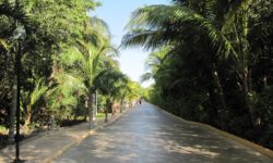 El Dorado Seaside Suites