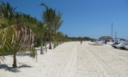 El Dorado Maroma