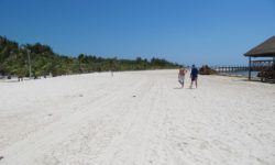 El Dorado Maroma