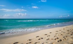 Reef Playacar