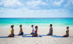 Reef Playacar