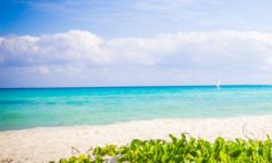 Reef Playacar