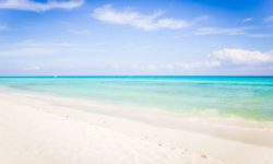 Reef Playacar
