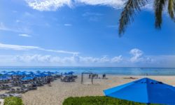 Reef Playacar