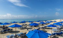 Reef Playacar