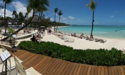 Ambre Mauritius