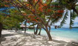 Maitai Polynesia Bora Bora