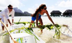 Sofitel Bora Bora Privat Island