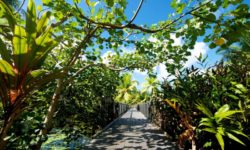 Maitai Lapita Village Huahine