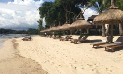 The Westin Turtle Bay Resort