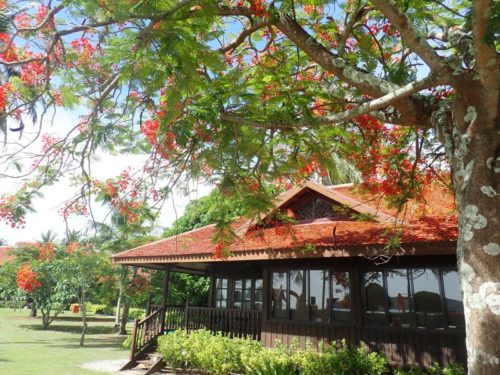 Pelangi Beach Langakwi