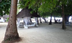 Mapenzi Beach Zanzibar