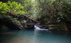 Mutiara Taman Negara