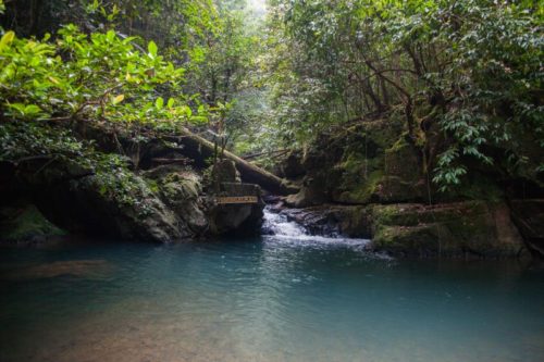 Mutiara Taman Negara