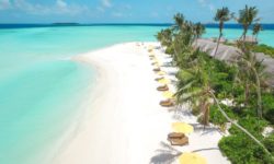 Dhigufaru Island Resort