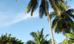 Sofitel Moorea Ira Ora Beach