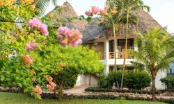 Sandies Baobab Beach Zanzibar