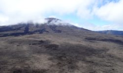 Réunion 2018