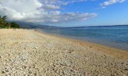 Réunion 2018