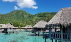 Francouzská Polynésie ostrov Moorea