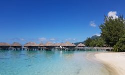 Francouzská Polynésie ostrov Moorea