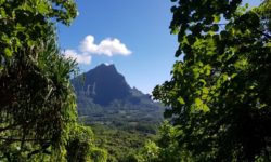 Francouzská Polynésie ostrov Moorea